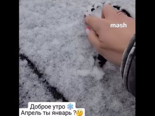 Крым синхронизировался со своей столицей — вчера снегопад был в Москве, а сегодня в Симферополе. Жители полуострова... (видео)