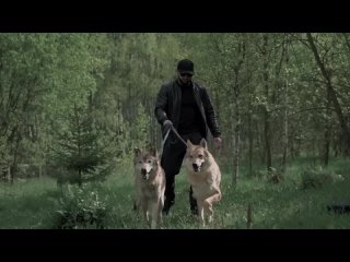 ИСЛАМ ИТЛЯШЕВ - THE BEST - 10 КЛИПОВ 2025.mp4