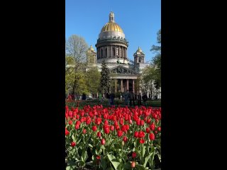 Весенний Петербург  Видео: marina_zippy (видео)