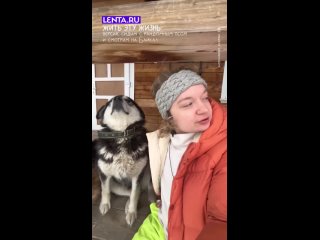 Иногда хочется простого человеческого — посидеть с красивым видом в хорошей компании.  Захотелось? ... (видео)