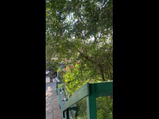 Дворик Монастыря у Кремля (видео)