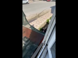 ⚠️ В МВД рассказали, как раненный в Махачкале полицейский вступил в ножевую схватку с нападавшим  Сообщается, что... (видео)