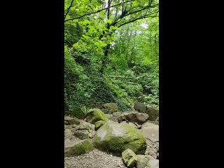 Безумно классный отпуск в #Лазаревском,🩵 начало июня, людей практически нет😃, очередь в любимой столовой Минутка у... (видео)