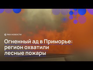 Масштабные природные пожары возникли в Приморье: на площади в 21 гектар горит сухая растительность, сообщили... (видео)