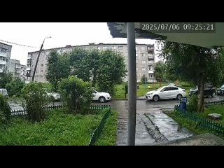 То свиньи, то вот конь по Ревде гуляет 🐴  Кого дальше там увидят, интересно...  Видео: канал тг «Ревдинский рабочий |... (видео)