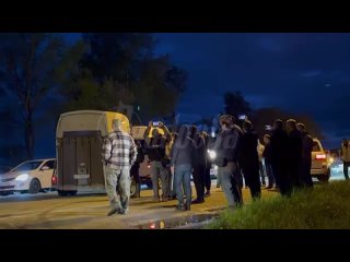 Сбитого под Истрой лосенка со сломанными ногами спасли — его забрали в реабилитационный центр    Лосенка, который сутки... (видео)