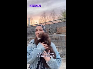 Мишка ,как игрушечный❤️ - Людмила Дзугаева