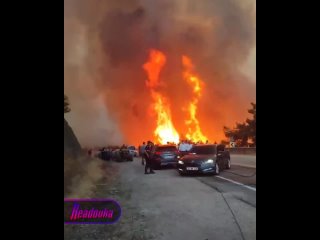 Сразу в четырех провинциях Турции вспыхнули лесные пожары — погибли не менее 10 человек    В Турции уже четвертый день... (видео)