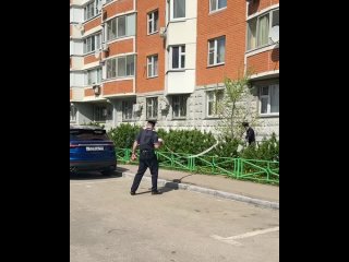 На месте взрыва в Балашихе работают оперативные службы, территорию оцепили    Во дворе дома в Балашихе, где... (видео)