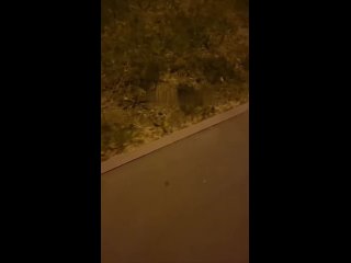 ⚠💥 Харьков – серия взрывов   «Герани» атакуют вражеские цели! Уже порядка 5 прилётов 🔥  ✅Оперативно о прилётах в... (видео)