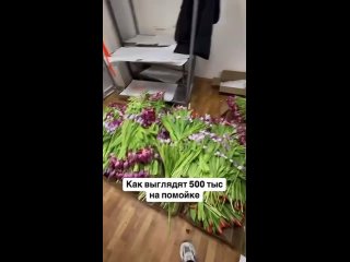 💐 В России множество горе-бизнесменов решили разбогатеть на продаже цветов к 8 марта, но вместо денег получили стресс... (видео)