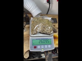 Переплавка 2609,5 грамма 14-каратного золота в мастерской (видео)
