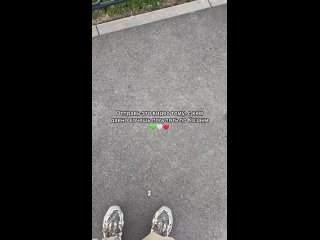 Делимся и идём гулять! (видео)