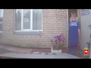 Оса укусила водителя на трассе — он едва не потерял сознание за рулём  На трассе М-5 в районе Полетаево челябинского... (видео)