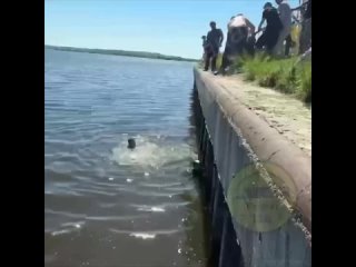 😱Ребёнок в коляске упал в реку в Свияжске — его спасли прохожие  В Свияжске коляска с годовалым малышом скатилась с... (видео)