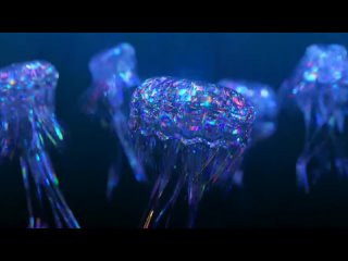 ✨Нежная Музыка, успокаивающая Нервную Систему и Радующая Душу✨ Расслабляющая музыка для отдыха и сна под водой