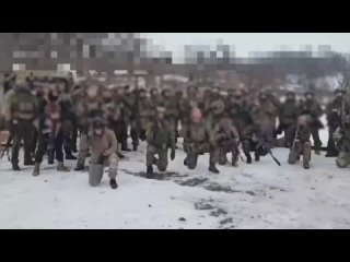 Так трогательно! Лучшее поздравление! Спасибо, родные! ❤️Только живите, пожалуйста, живите ! 🙏 - Марфушенька Душенька