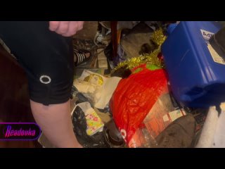 Преподша нижегородского вуза делала полуфабрикаты из кошечек и собачек — ее сыночка таскал их пакетами с улицы   ... (видео)
