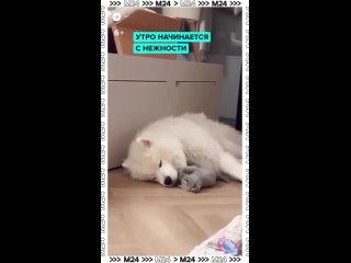 Навернулся так прикольно - Виктория Шеховцева