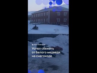 Белый медведь погнался за человеком на архипелаге Шпицберген. Зверя не отпугнули ни крики, ни предупредительные... (видео)