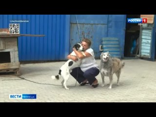 🐾 Донецкий приют «4 ЛАПКИ» оказался на грани разорения    Преступные действия интернет-мошенников лишили шанса на... (видео)