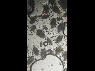 Все хлебобулочные так выглядят. И что? Теперь не жить. - Михаил Васильев