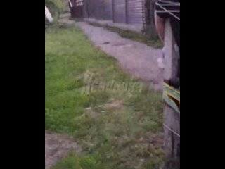 В Красноярске разъяренные жители привязали к столбу педофила, который домогался к двум девочкам 8 и 12 лет    Почти в... (видео)