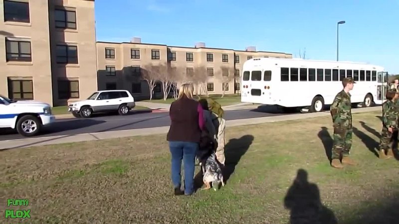 Dogs Welcoming Soldiers Home Compilation 2013 [HD]