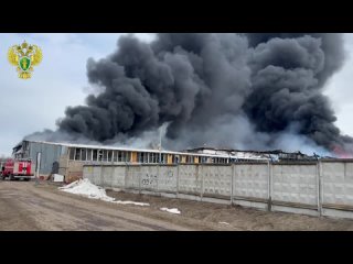 Пожар произошел на складе в Волжском районе Марий Эл, сообщили в МЧС. Его удалось локализовать на площади 10 тысяч... (видео)
