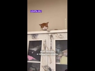 -Да пошло оно. И спать.😁 - Эльдар Маннанов