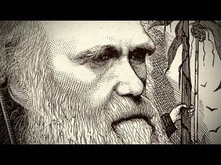 BBC: Чарльз Дарвин и Древо жизни 