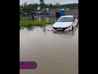 Терпение москвичей заканчивается, а дожди нет — в столице за ночь и утро выпала месячная норма осадков    В отдельных... (видео)