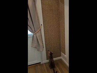 Прекрасно! Хороший вариант.  Но кошки дерут ровно там, где нет такой поверхности, рядом🫣 - Елена Ворошилова