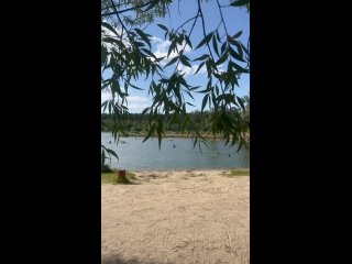 Лебяжьи озера (видео)