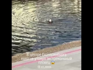В такой засранной реке,только и купаться🤮 - Дмитрий Язынин