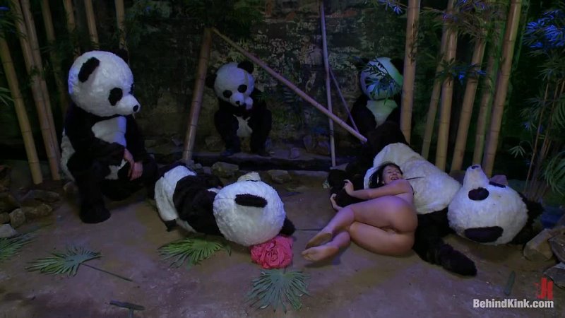 Its Pandamonium on BoundGangbangs  (05 07 2012)