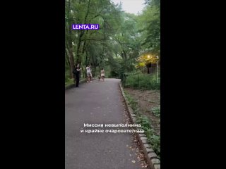 Грабить,у нас все орехи слопали,у соседа яйца и курей - Галина Осыка