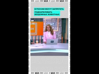 🐕 В России предложили запретить кормить бездомных животных возле жилых домов, больниц, школ и других социальных... (видео)