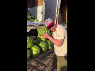 После того, как купил нитратотестер, арбузы и дыни практически не ем... Теперь в голове две мысли:  1) какие конченые... - Кирилл Валерьевич