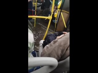 Потоп настиг нижегородцев даже в автобусах (видео)