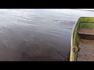 🐟 На пробный лов корюшки вышли рыбаки на Ладоге. Об этом сообщила администрация Ленобласти.    В 2025 году квота на... (видео)