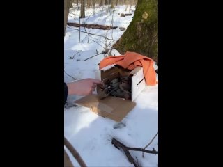 🐦 В парках стали замечать пьяных птиц — они наедаются забродивших ягод, от чего теряют силы и падают.  Если вы нашли... (видео)
