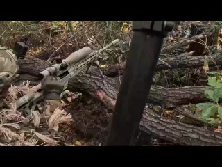 🪖Белоусов поздравил военных с Днем Военно-Морского Флота  Министр обороны РФ отметил их высокую самоотверженность и... (видео)