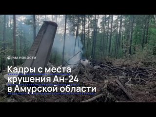 СК опубликовал новые кадры с места крушения Ан-24. Также в авиакомпании "Ангара", которой принадлежал самолет, прошли... (видео)