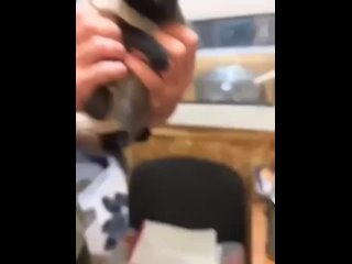 Парень собирался забрать одного котенка из приюта, но малыш так крепко обнял свою хвостатую сестричку и не хотел... (видео)