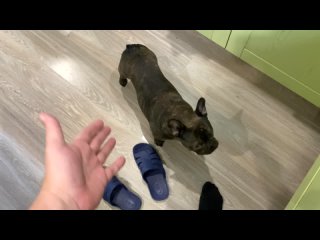 ответ на неприятный вопрос о МУЖСКОМ - НЕ мужском, и как МИТЯ с МАСЕЙ бодаются