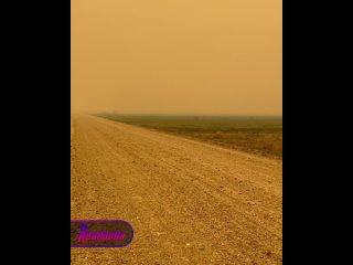 Апокалиптические кадры из Амурской области — из-за пожаров небо окрасилось в оранжевый цвет  В Амурской области... (видео)