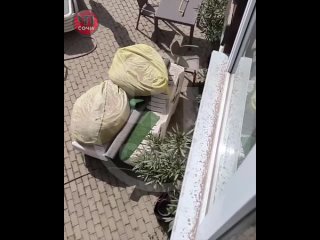 В селе Весёлое продолжают сносить незаконные многоквартирные дома    На улице Мира в селе Весёлое приступили к... (видео)