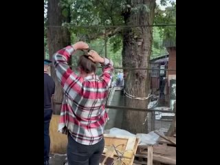 Козью братву повязали в Бутово — знаменитую шайку из 20 рогатых изъяли у их хозяина    Стадо коз из Бутово, ставшее уже... (видео)