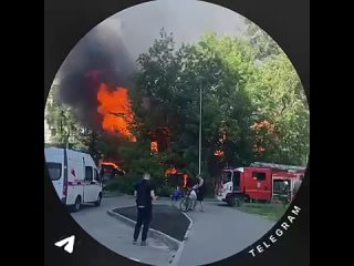 Этого и стоило ожидать - Елена Молькова